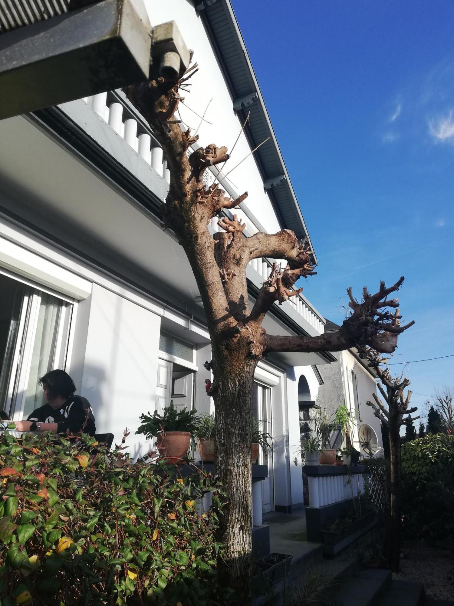 Ferienwohnung Chambre Avec Douche Lourdes Exterior foto